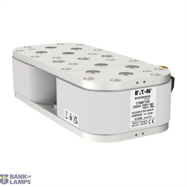 FUSE 2500A 690V 24BKN/60 AR image 5