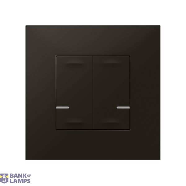 CONNECTED LIGHT SWITCH WITH NEUTRAL 2-GANG 2X250W VALENA NEXT BLACK (C image 2