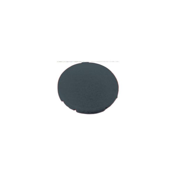 M22-XD-S Button plate, flat black, blank image 2