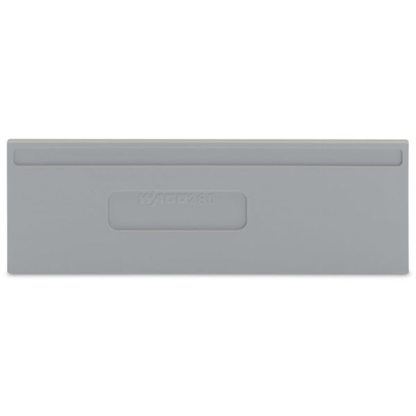 Separator plate 2 mm thick oversized gray image 2