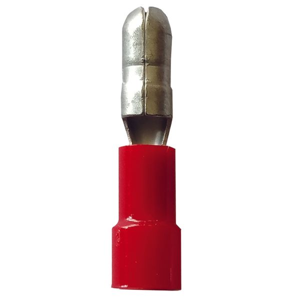 Fichero: Ter ench red rojo.jpg image 1