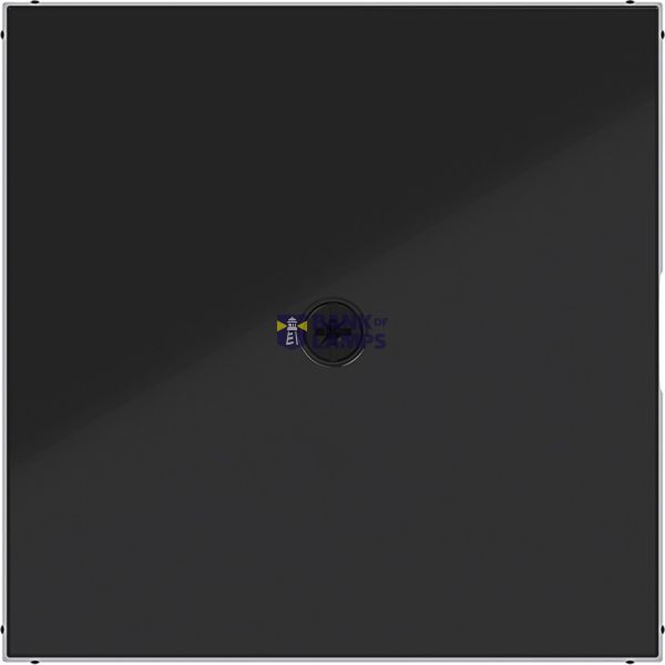 Central plate for cable entry piece, A.x/C.x, glossy night black image 1