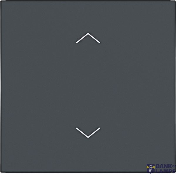 Single seesaw, with printed arrow symbol, A.x/C.x, anthracite image 1