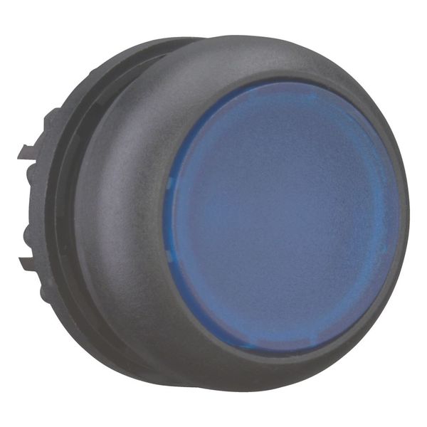 M22S-DL-B Illuminated pushbutton actuator, RMQ-Titan, Flush, momentary, Blue, Blank, Bezel: black image 10