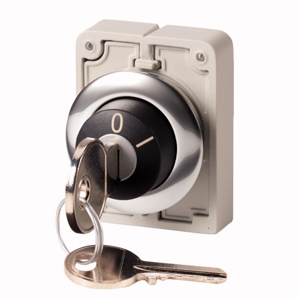 M30C-FWRS-RS Key-operated actuator, Flat Front, maintained, 2 positions, Ronis 455, Key withdrawable: 0, I, Metal bezel image 1