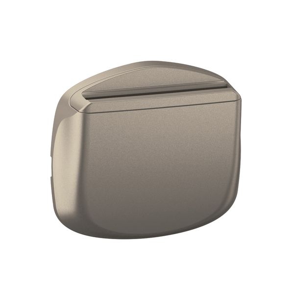 KEY CARD SWITCH ROCKER TITANIUM image 1