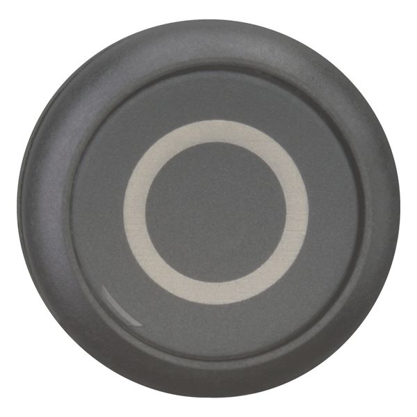 M22S-D-S-X0 Pushbutton, RMQ-Titan, Flat, momentary, black, inscribed, Bezel: black image 13
