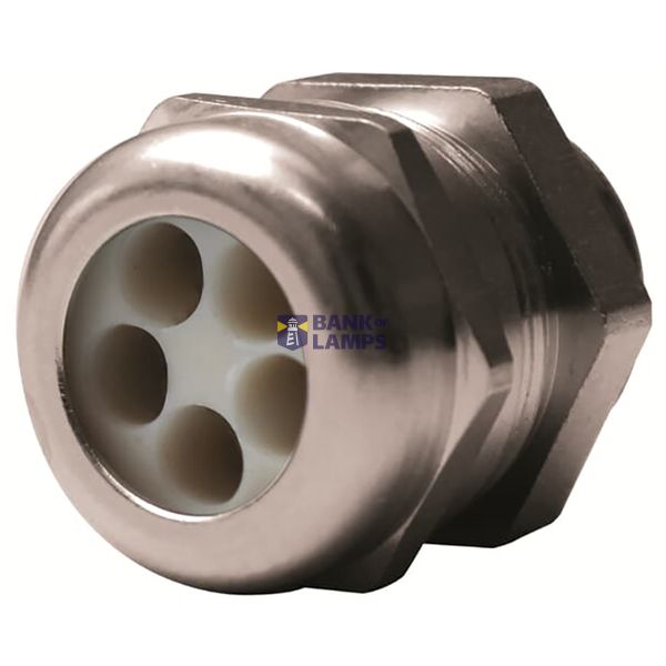 Cable Gland Multi-Holed close Nickel Plated Brass PG7 Number passage 1 image 1