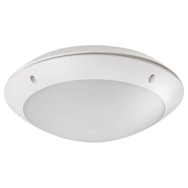 LENTIL LED 8555 image 1