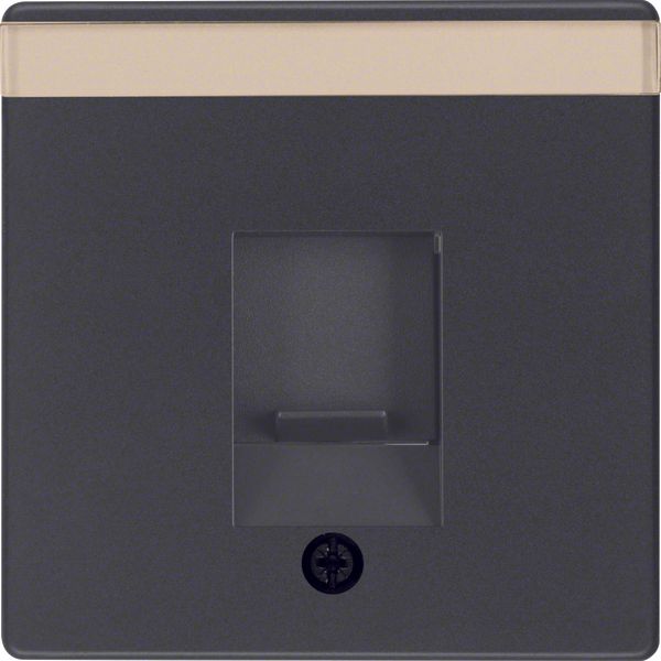 Centre plate dust prot. slider, lab. field, Q.1/Q.3, ant. velvety, lac image 2