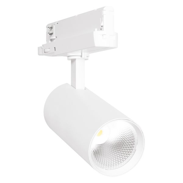 TR SP XR V 30W 730 24DEG WT MEAT LEDV image 1