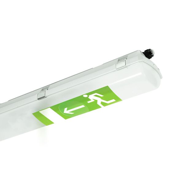 PRIMA LED Ex 1.2ft PCc NM3h image 1