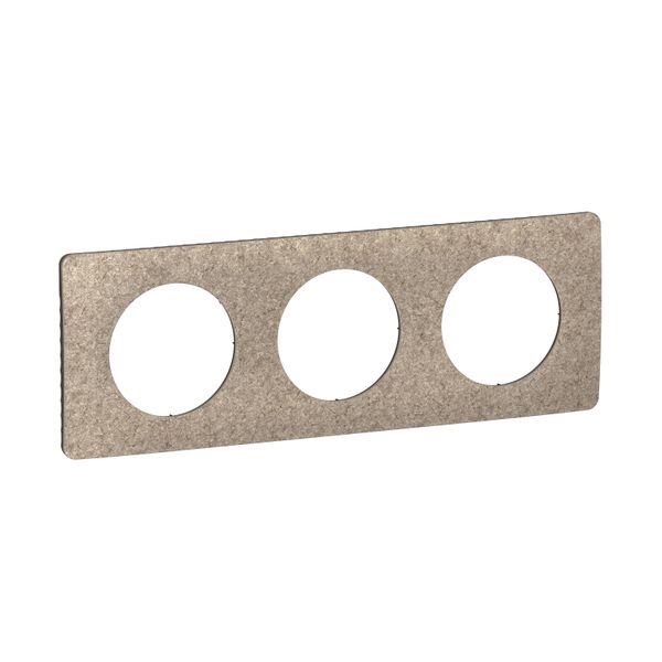 PLATE 3 GANG FELT image 7