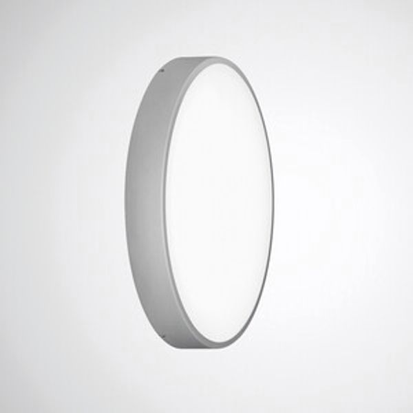 Mechanical accessories Olisq R Silver 8269200 image 1
