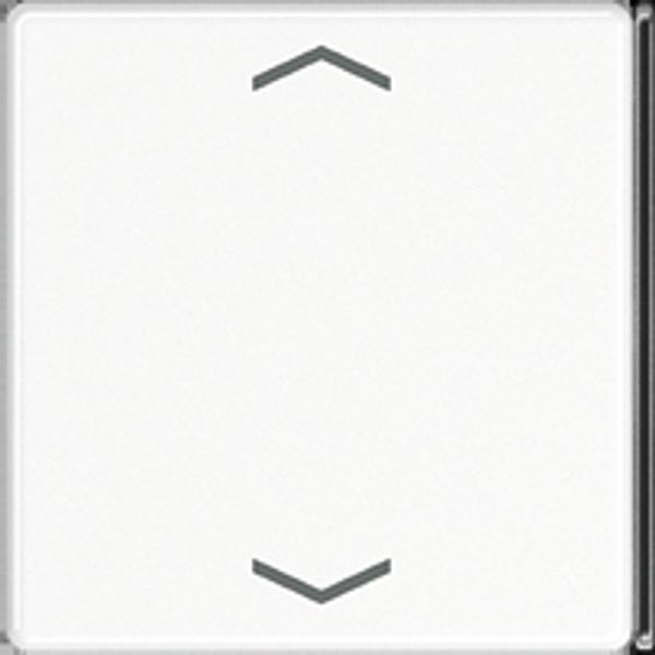 Cover 4-gang with sym. for button 2+3 A404TSAPWW23 image 1