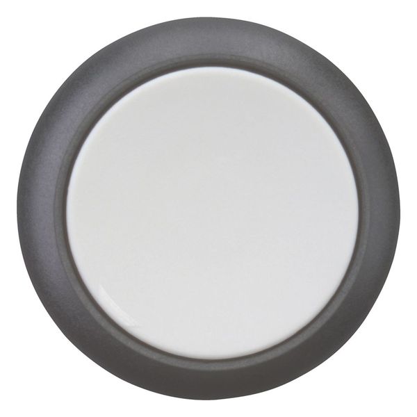 Pushbutton, RMQ-Titan, Flat, momentary, gray, Blank, Bezel: black image 9
