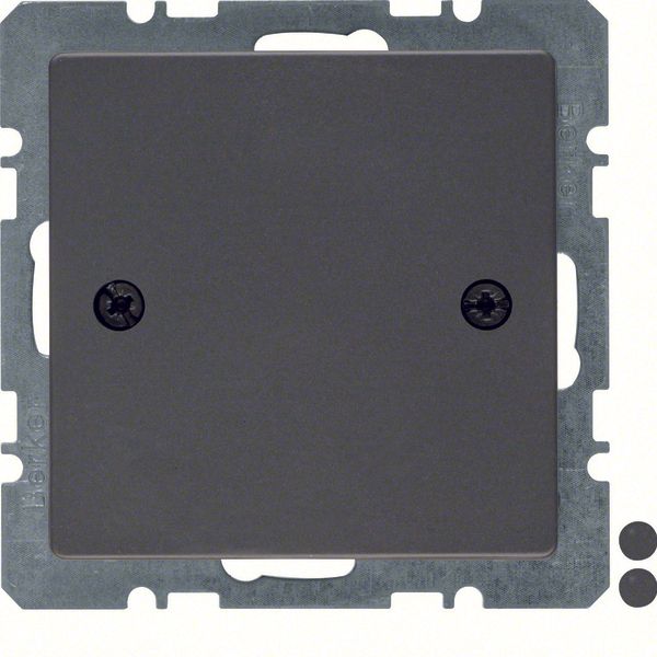 Blind plug centre plate, screw-on, Q.1/Q.3, ant. velvety, lacq. image 2