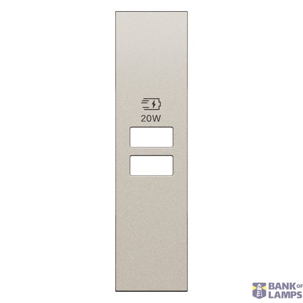 L.NOW - 2USB CHARGER COVER 1M CHAMPAGNE image 1
