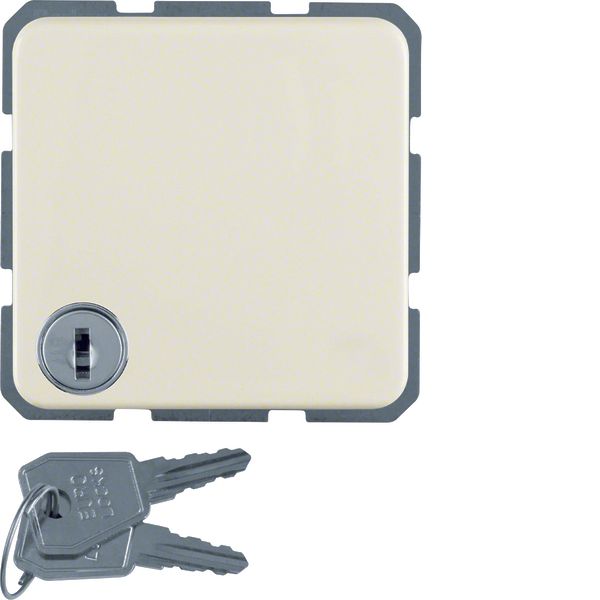 SCHUKO soc.out. hinged cover,lock-differing lockings,var.in45°step,flu image 1