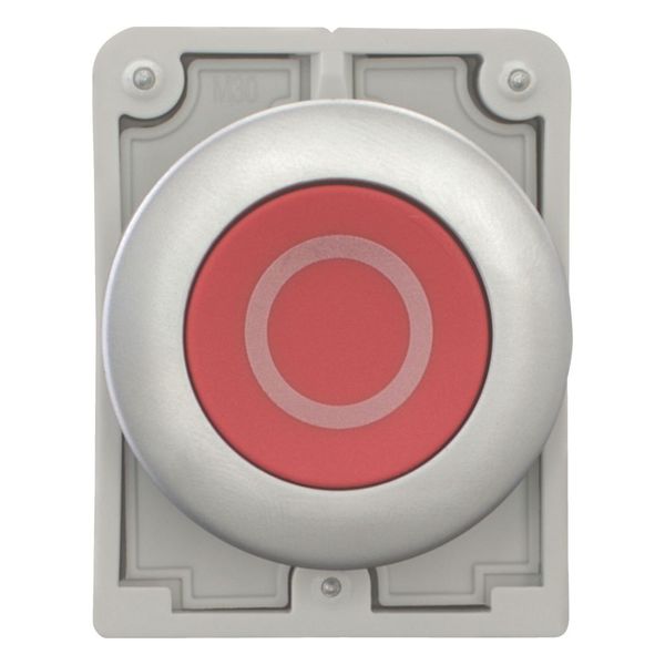 M30C-FD-R-X0 Pushbutton, RMQ-Titan, Flat, momentary, red, inscribed, Metal bezel image 10