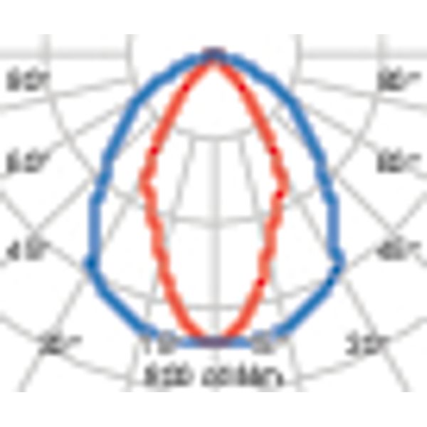 GUELL 2.5 200 S/W 850 GR94 image 3