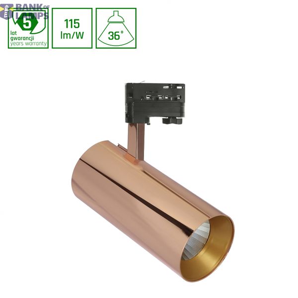 MDR BRANTA METALICA 930 27W 230V 36deg Gold MESH image 1