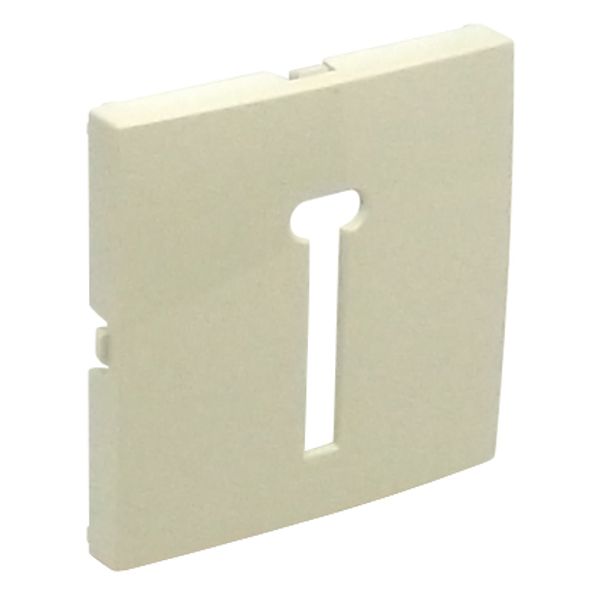 COVER PLATE F/T8 FRENCH TELEP SOCKET IVORY image 2