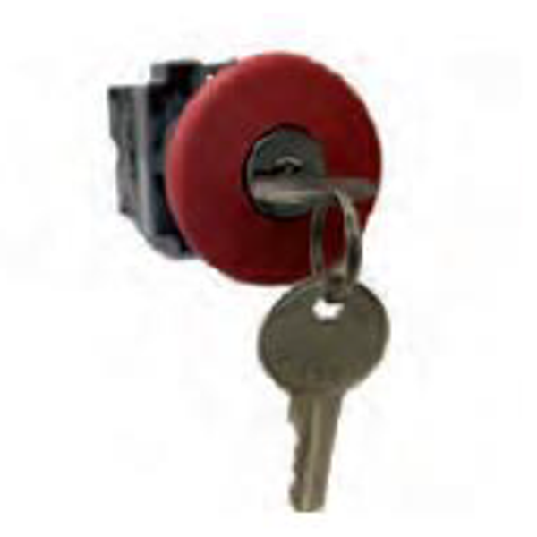 Fichero: 0119047.png image 1