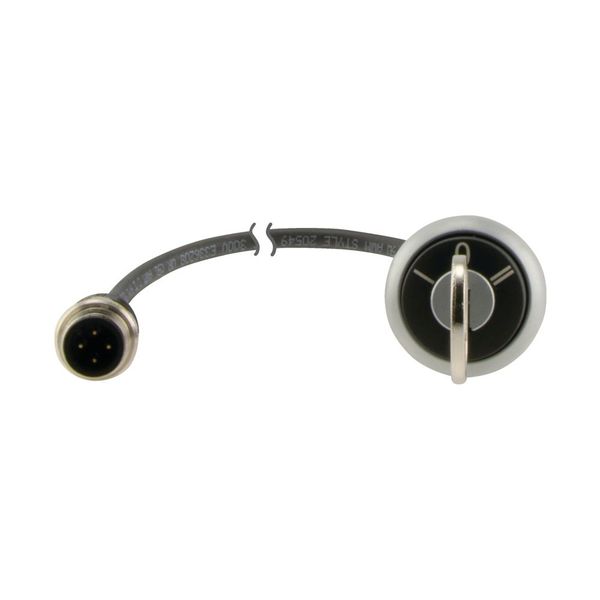 C22-WRS3-MS1-K20-P5 Key-operated actuator, RMQ compact solution, maintained, 2 N/O, Cable (black) with M12A plug, 4 pole, 1 m, 3 positions, MS1, Bezel: titanium image 7