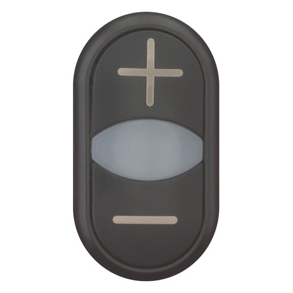 M22S-DDL-S-X4/X5 Double actuator pushbutton, RMQ-Titan, Actuators and indicator lights non-flush, momentary, White lens, black, black, inscribed, Bezel: black image 5