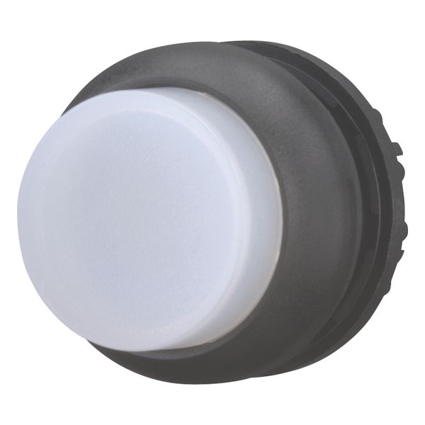 M22S-DRLH-W Illuminated pushbutton actuator, RMQ-Titan, Extended, maintained, White, Blank, Bezel: black image 2