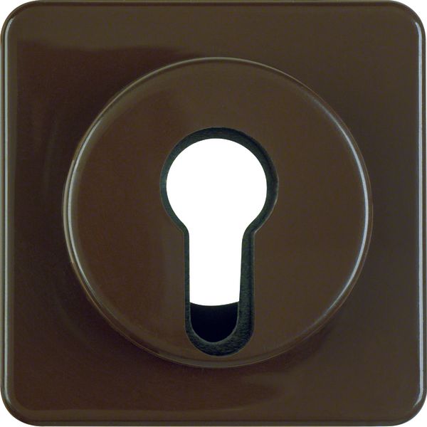 Centre plate f. key switch/push-b., splash-prot. flush-mtd IP44, brown image 1