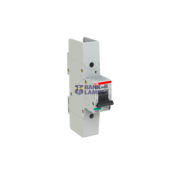 S801P-D125-R circuit breaker image 2