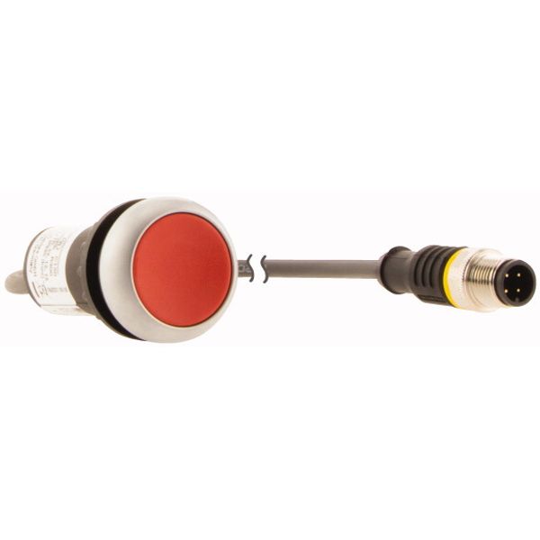 C22-D-R-K01-P3 Pushbutton, Flat, momentary, 1 NC, Cable (black) with M12A plug, 4 pole, 0.5 m, red, Blank, Bezel: titanium image 4
