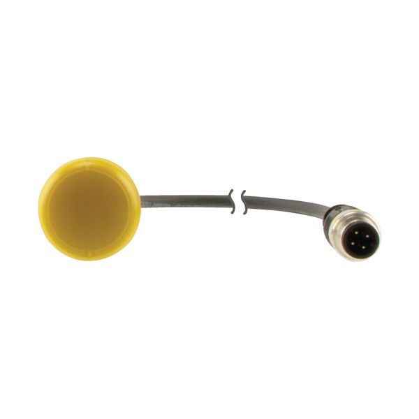 C22-L-Y-24-P3 Indicator light, Flat, Cable (black) with M12A plug, 4 pole, 0.5 m, Lens yellow, LED white, 24 V AC/DC image 8
