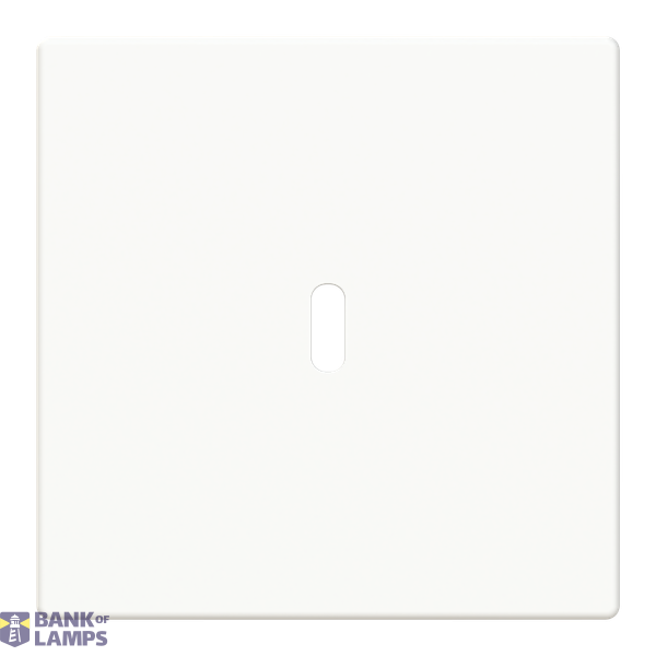 6479-84-500 Cover plate for USB C power adapter image 1