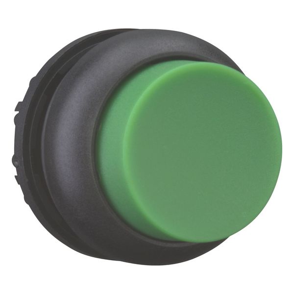 M22S-DH-G Pushbutton, RMQ-Titan, Extended, momentary, green, Blank, Bezel: black image 7