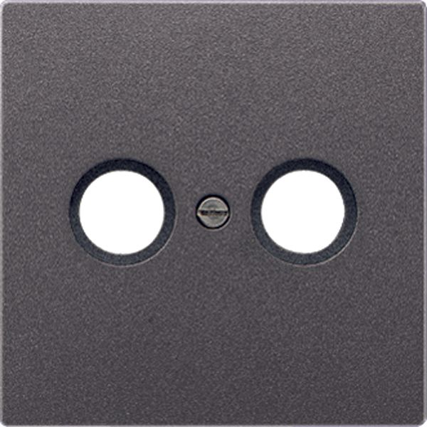 Centre plate AL2990TVAN image 2