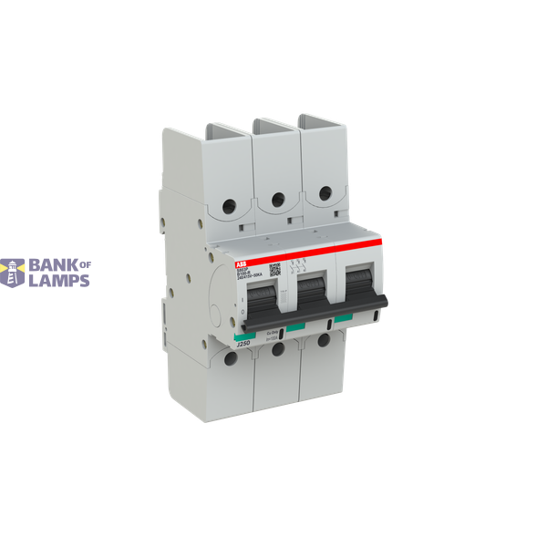 S803P-B100-R circuit breaker image 2