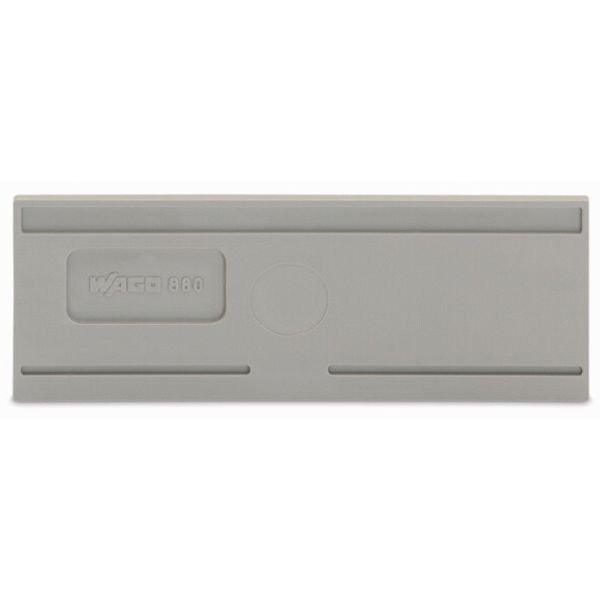 Separator plate 2 mm thick oversized gray image 3