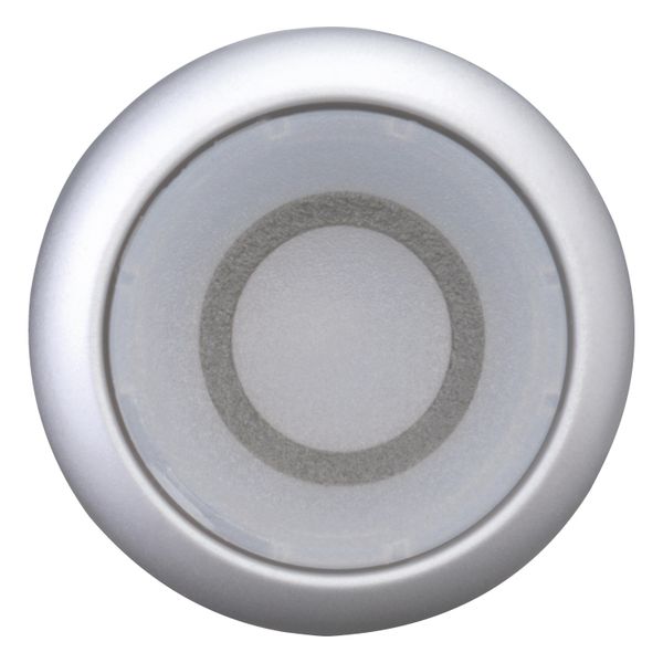 M22-DL-W-X0 Illuminated pushbutton actuator, RMQ-Titan, Flush, momentary, White, inscribed 0, Bezel: titanium image 10