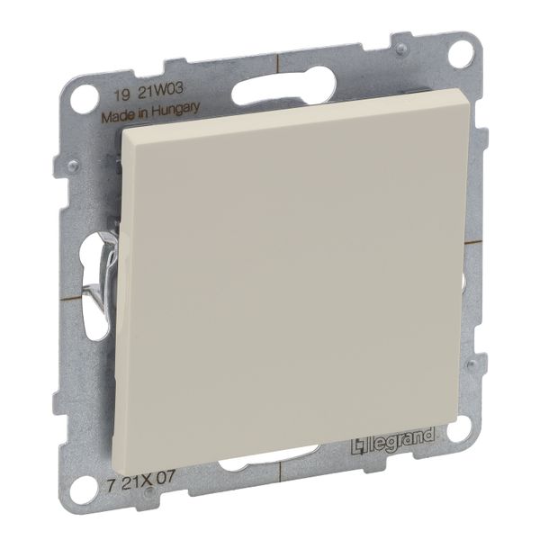 INTERMEDIATE SWITCH 10AX IVORY image 1