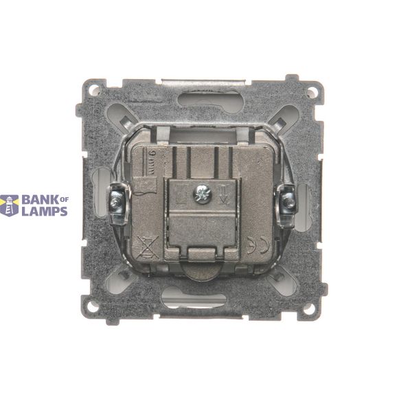 Intermediate switch, (module), 16AX, Screw, Silver matt, metalic image 1