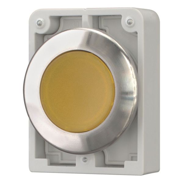 M30I-FDRL-Y Illuminated pushbutton actuator, RMQ-Titan, flat, maintained, yellow, blank, Front ring stainless steel image 12