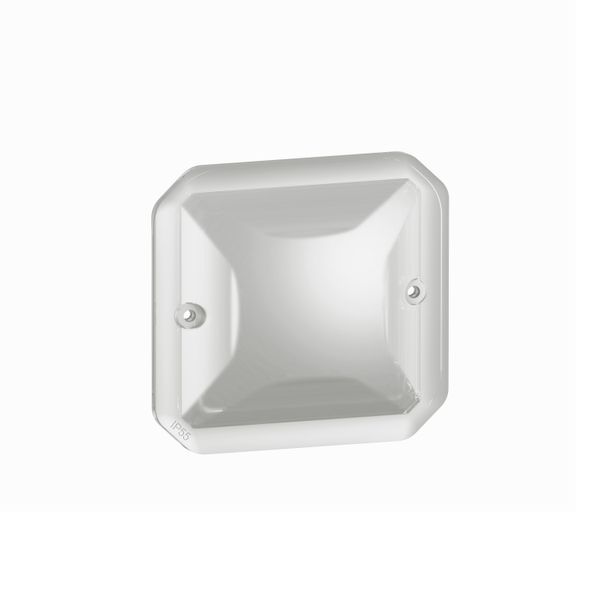 PLEXO DIFFUSER FOR PILOT LIGHT - INCOLORE - MECHANISM image 1