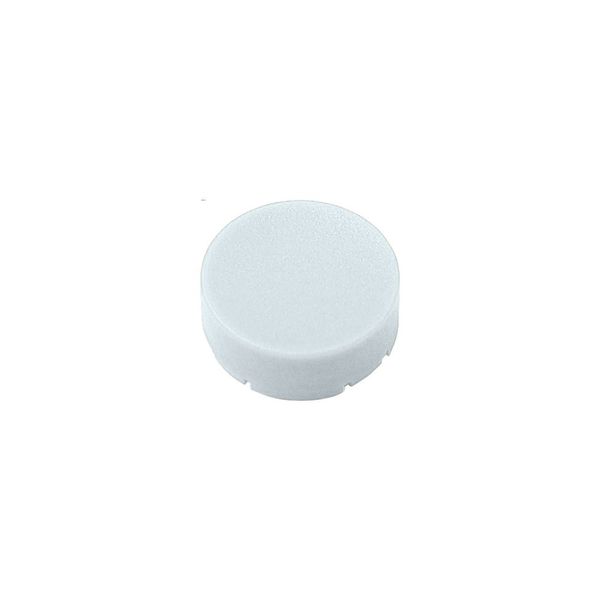 M22-XDH-W Button plate, raised white, blank image 5