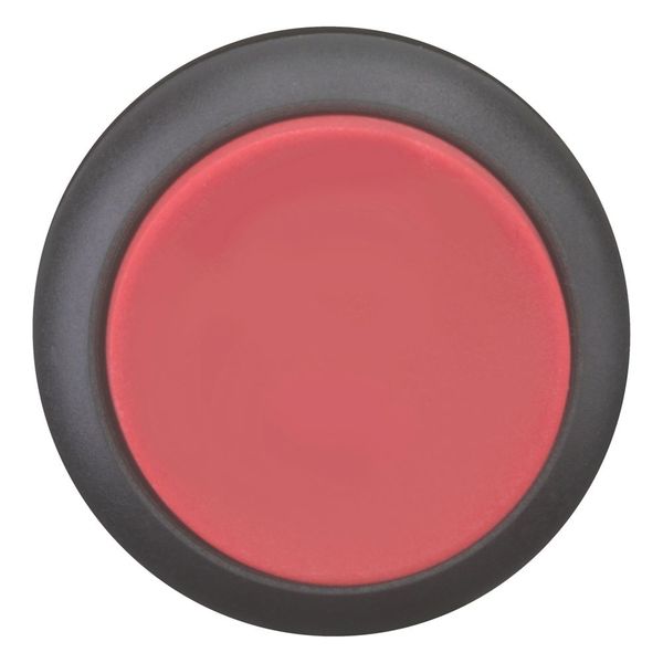 M22S-DH-R Pushbutton, RMQ-Titan, Extended, momentary, red, Blank, Bezel: black image 9