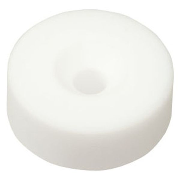 ICZ-MH30-10-T10 100pcs protective cap image 2