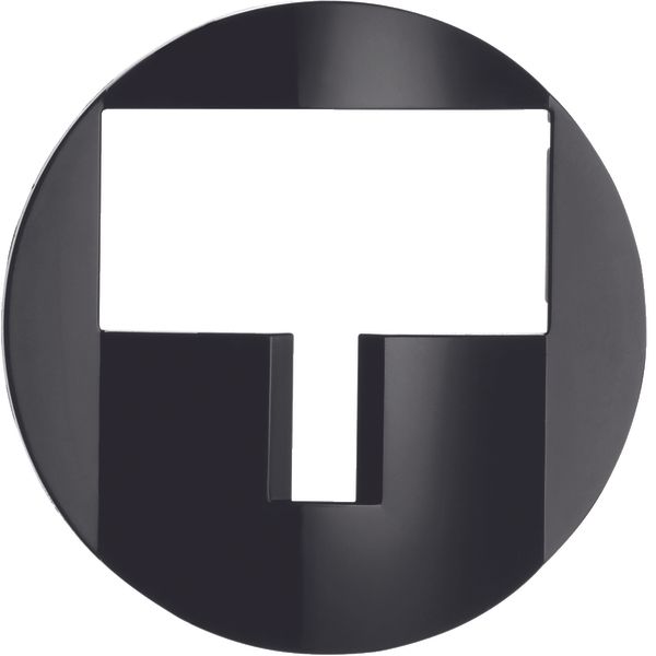 R.x Cover for KNX (TP+EASY) Movement detector module, black image 1