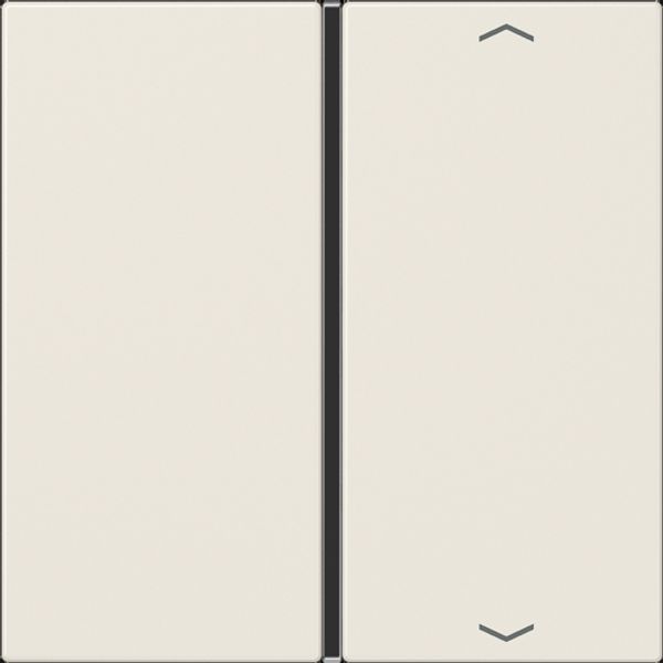 Cover 1-gang with symbols LS401TSAP image 5